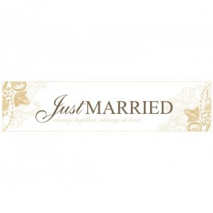 Plaque voiture Just Married silver