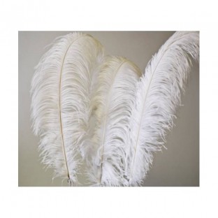 White feather for hire