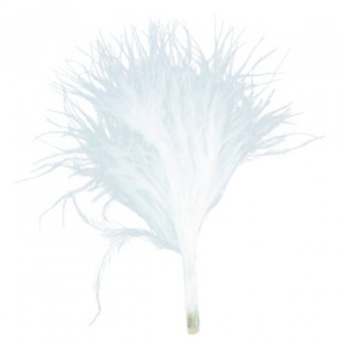 20 plumes blanches 7cm