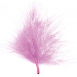 20 petites plumes rose pâle 7cm plumettes