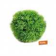 LOCATION boule décorative herbe gazon vert