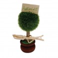 Topiary Place Card Holder