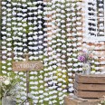 Arrière-Plan rideau Fleurs Blanches backdrop mariage