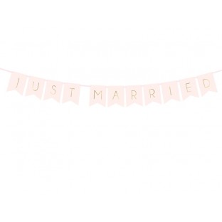 Pink & Gold Just Married Bunting - Pastel Perfection