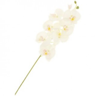 Location FLEUR orchidée blanche artificielle en tissu
