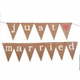 Just Married car bunting