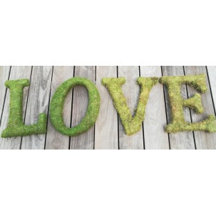 Location lettres LOVE en mousse végétale H30cm
